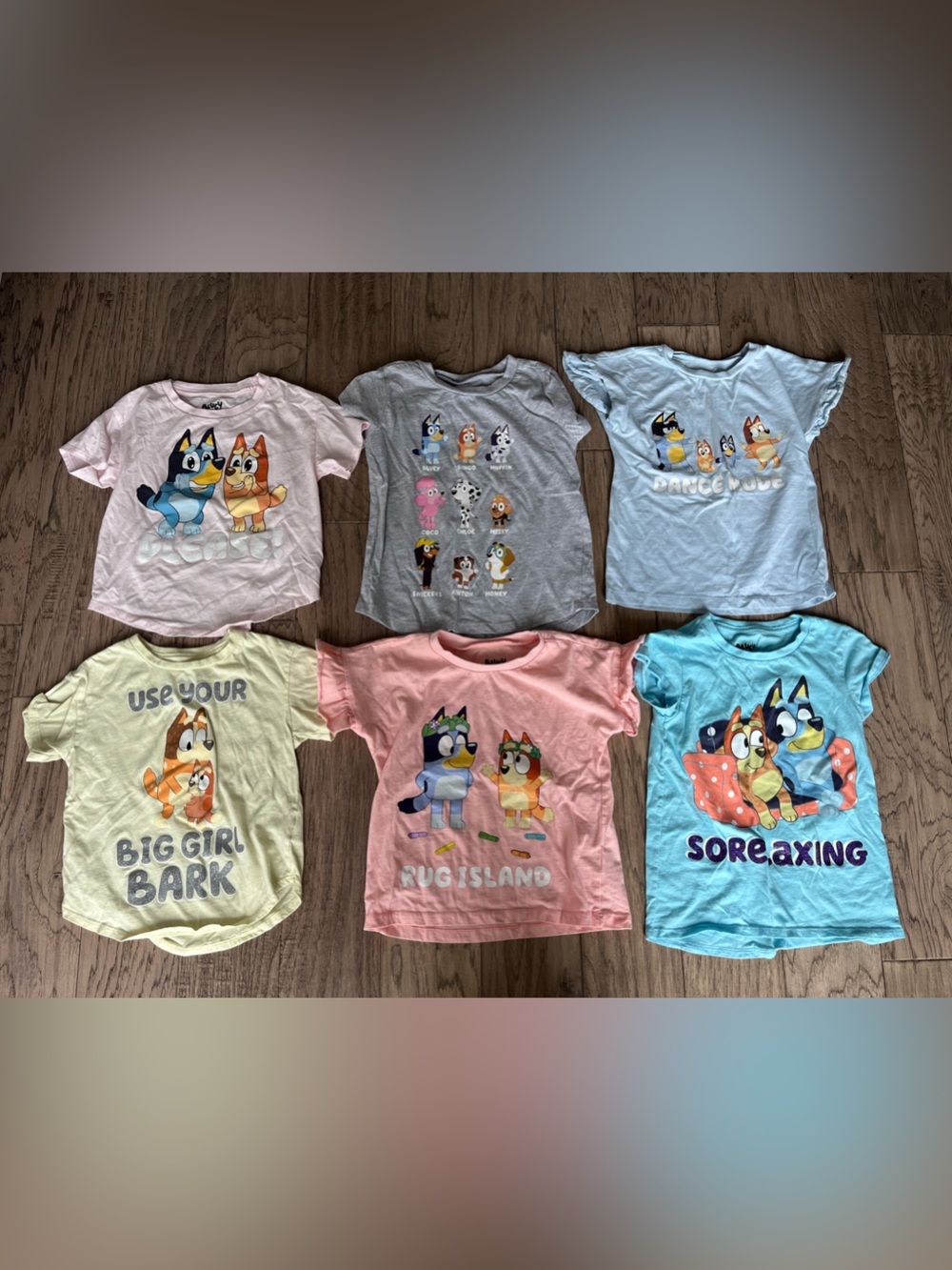 Bluey shirts 5t